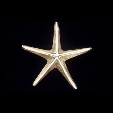 Sand-cast brass starfish door knocker