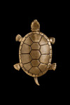 Sand-cast bronze turtle door knocker